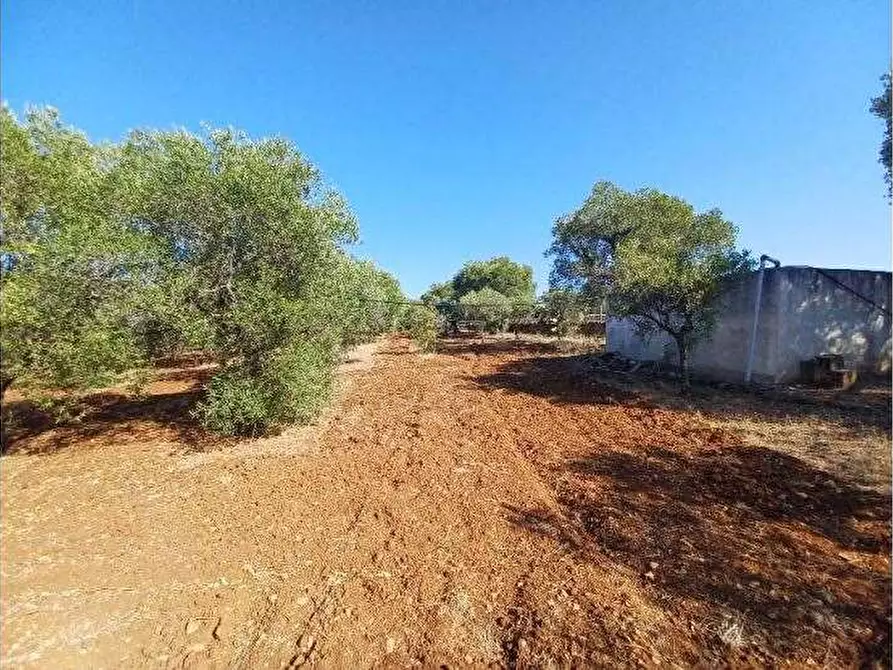 Immagine 7 di Rustico / casale in vendita  in Contrada Tamburroni snc a Ostuni