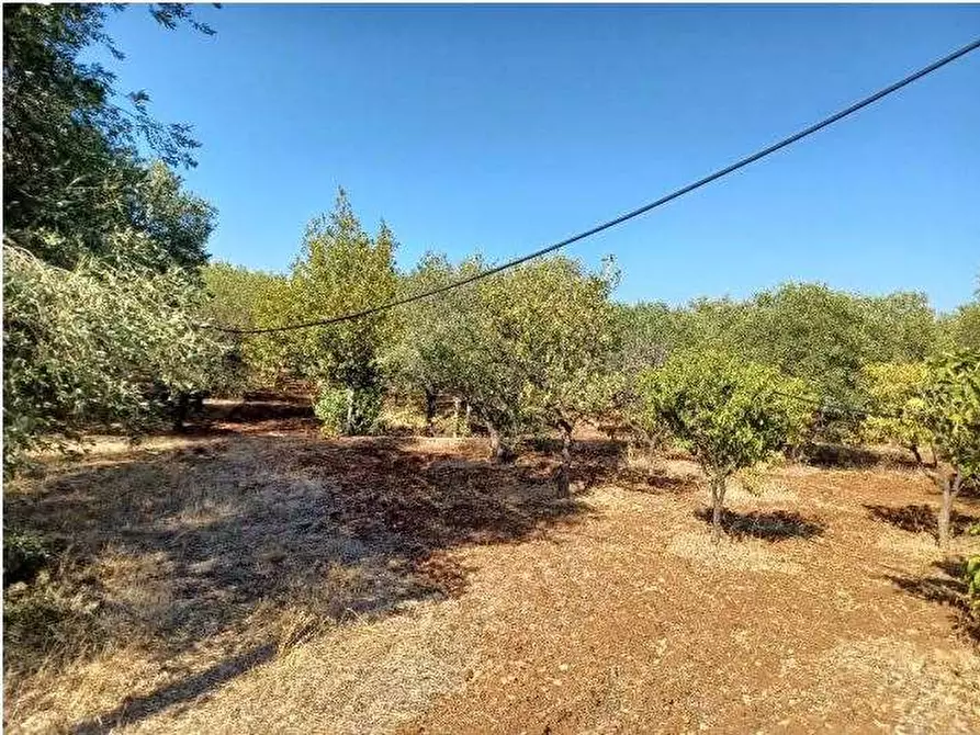 Immagine 8 di Rustico / casale in vendita  in Contrada Tamburroni snc a Ostuni