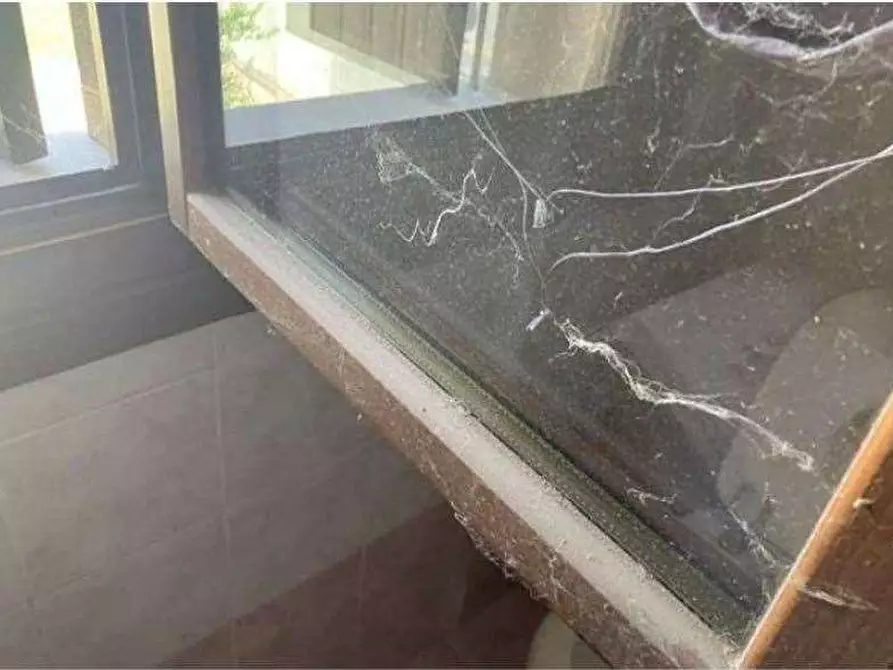 Immagine 36 di Appartamento in vendita  in Via Girelli 23 a Bussolengo