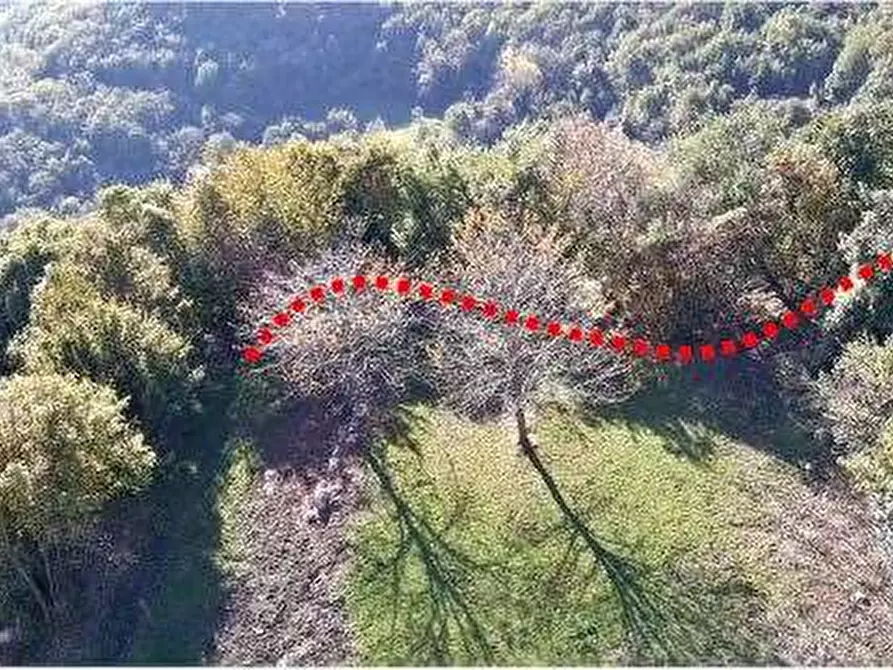 Immagine 41 di Porzione di casa in vendita  in Località Moie a Caprino Veronese
