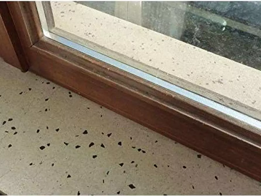 Immagine 33 di Porzione di casa in vendita  in Via Roma 61 a Breganze