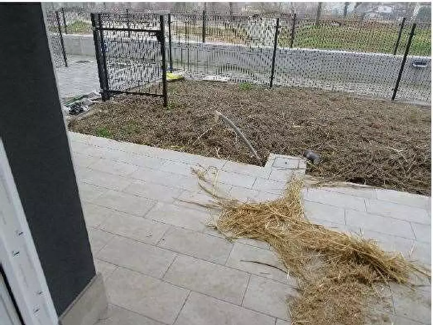 Immagine 6 di Appartamento in vendita  in Vaghetto snc a Lavagno