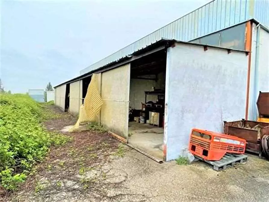 Immagine 7 di Capannone industriale in vendita  in Via Roma 16 a Nogarole Rocca