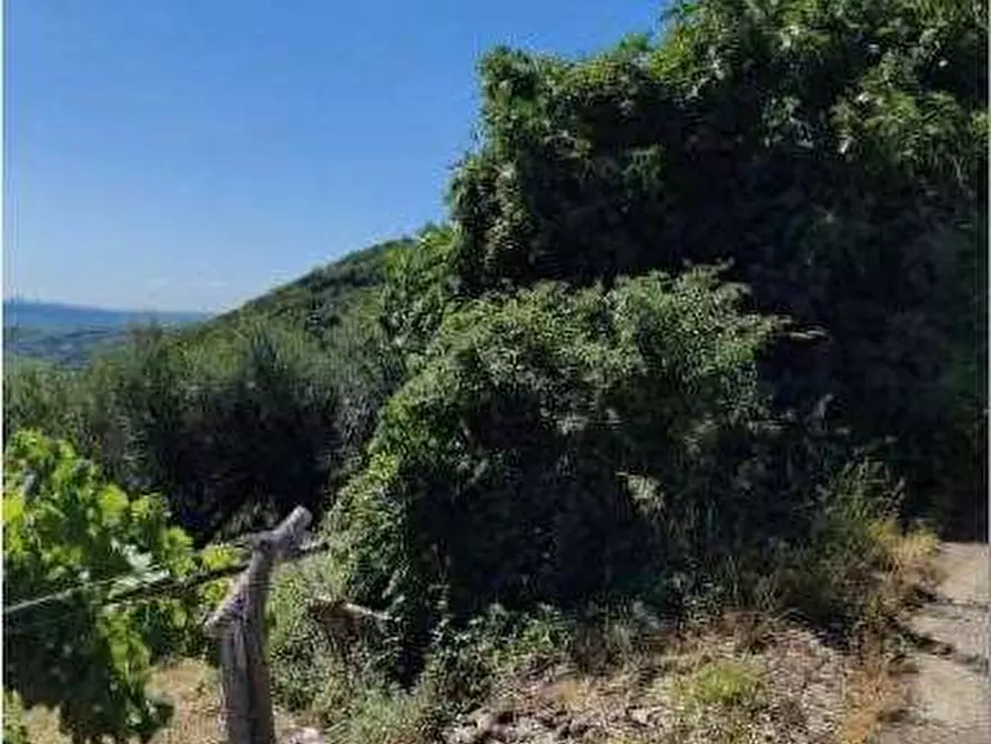 Immagine 18 di Appartamento in vendita  in Via Tolotti 3 a Montecchia Di Crosara