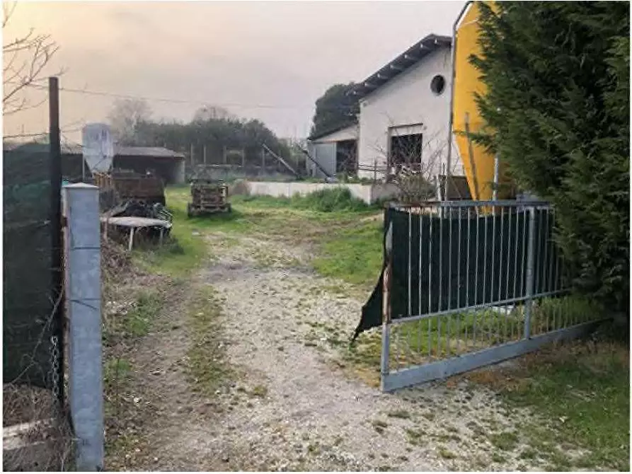 Immagine 3 di Rustico / casale in vendita  in Via Barbarago 9 a Sona