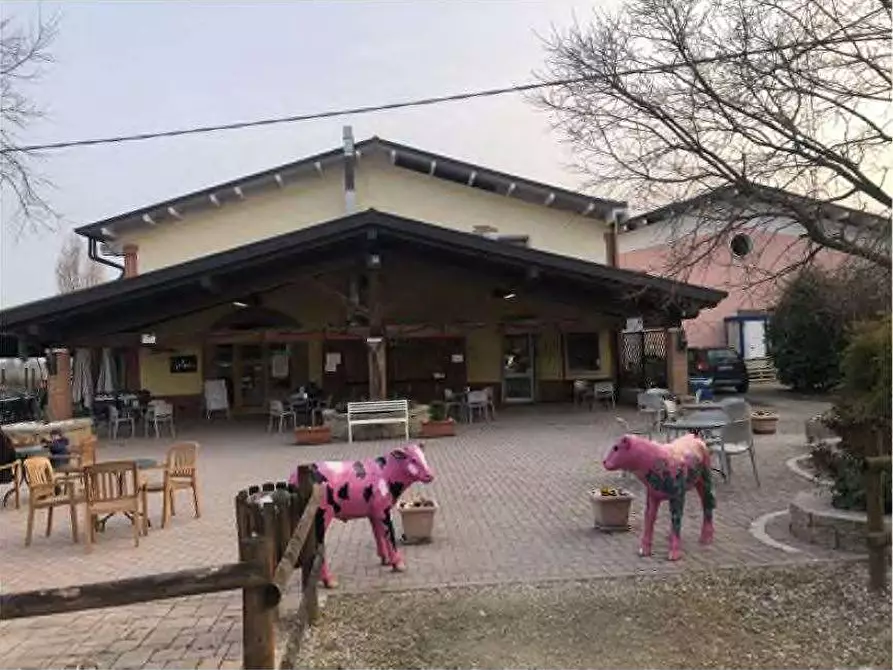 Immagine 18 di Rustico / casale in vendita  in Via Barbarago 9 a Sona