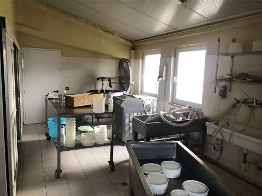 Immagine 31 di Rustico / casale in vendita  in Via Barbarago 9 a Sona
