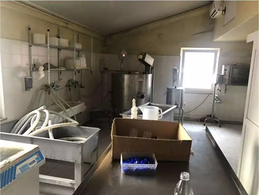 Immagine 32 di Rustico / casale in vendita  in Via Barbarago 9 a Sona