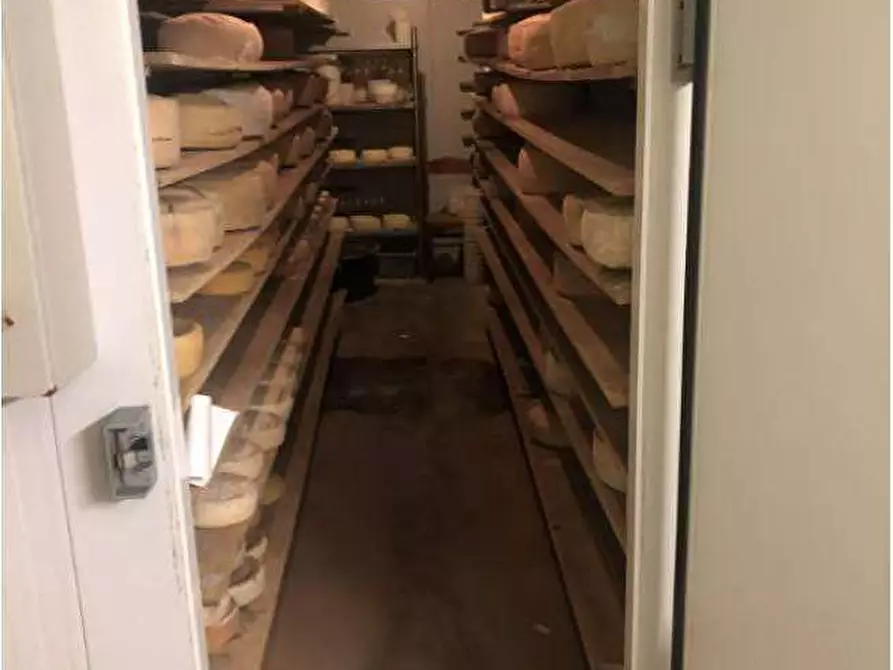 Immagine 35 di Rustico / casale in vendita  in Via Barbarago 9 a Sona