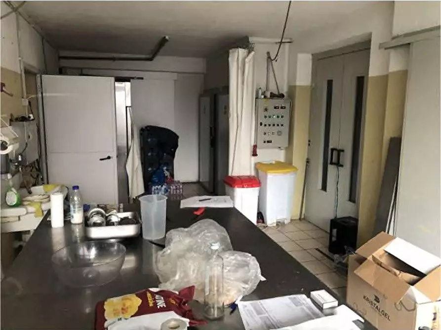 Immagine 38 di Rustico / casale in vendita  in Via Barbarago 9 a Sona