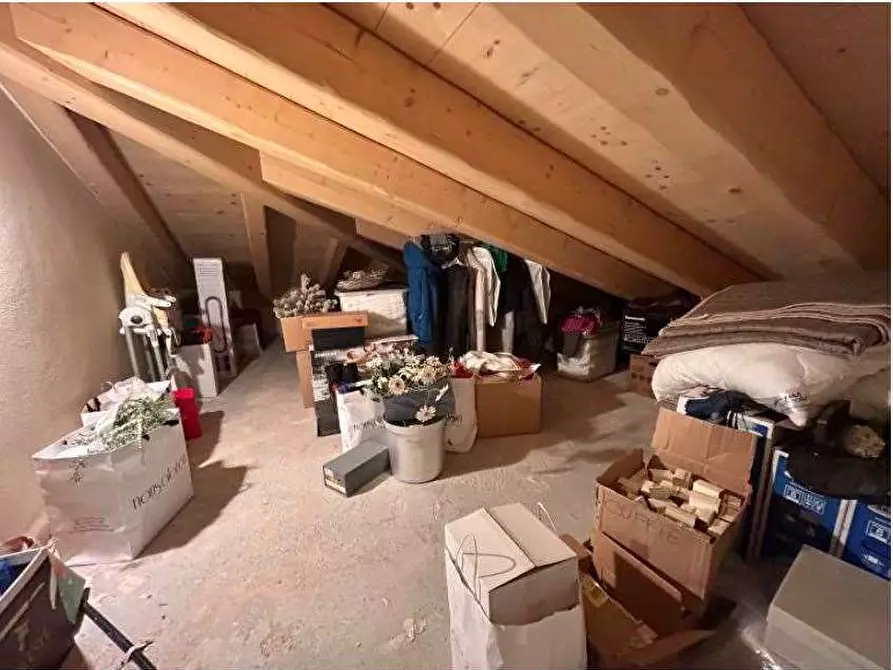 Immagine 44 di Villa in vendita  in Via Crosare di Sotto 50 a Pressana