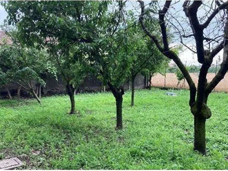 Immagine 72 di Villetta a schiera in vendita  in Via Capitello 622 a Castagnaro
