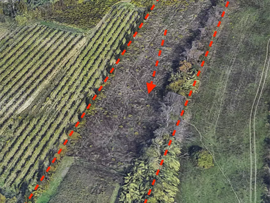 Immagine 1 di Terreno agricolo in vendita  in Via Monte Olivo a Coriano