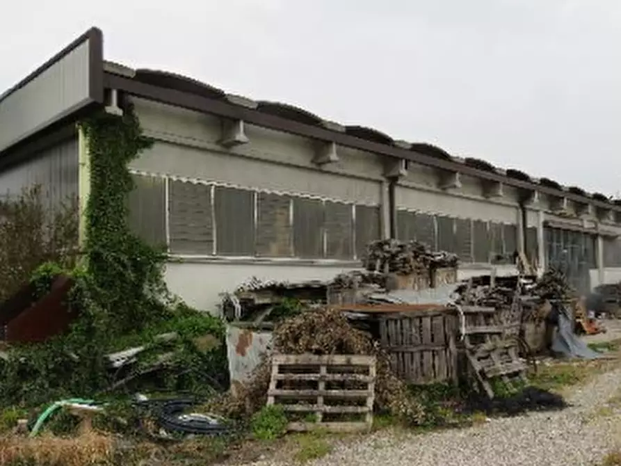 Immagine 1 di Capannone industriale in vendita  in Via Caduti di Nassiriya  a Isola Rizza