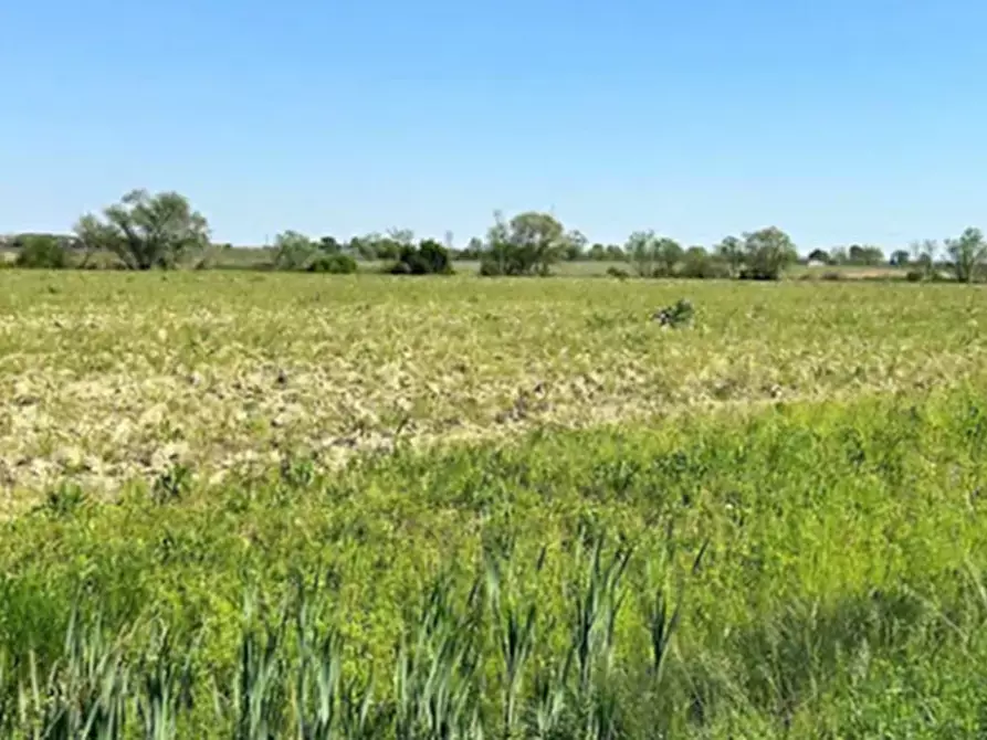 Immagine 1 di Terreno agricolo in vendita  a Gaiarine