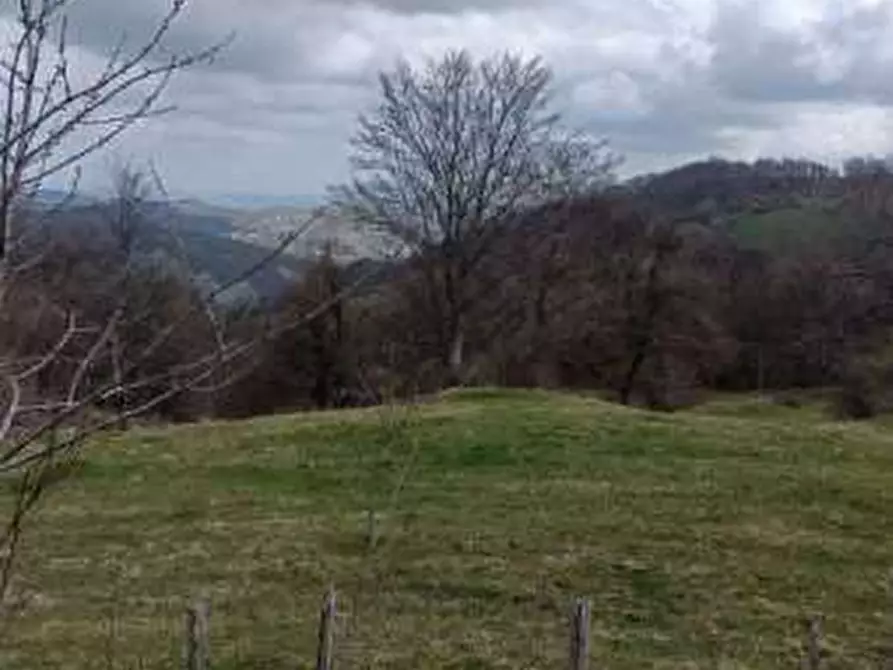 Immagine 1 di Terreno agricolo in vendita  in località Fragheto a Casteldelci