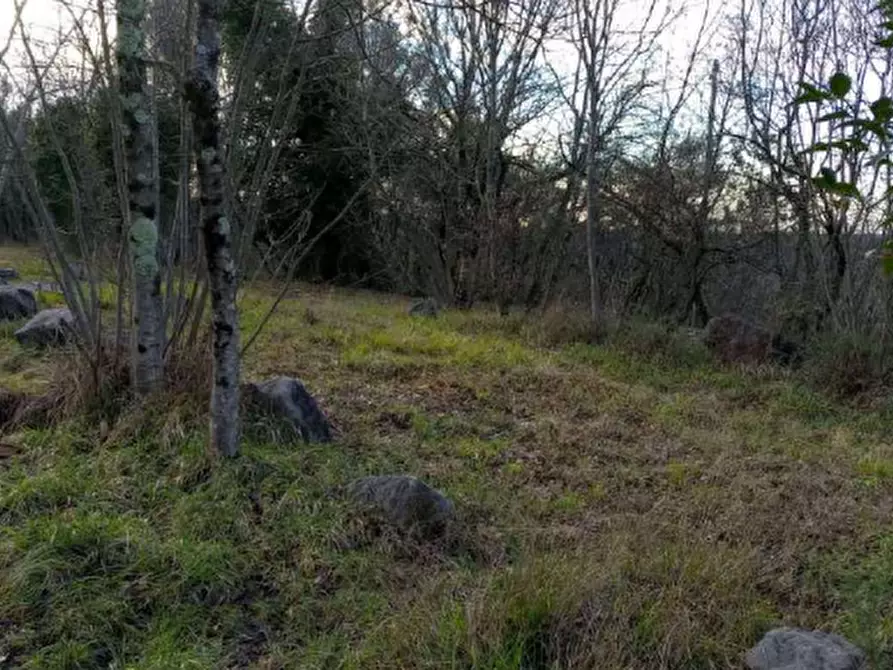 Immagine 1 di Terreno agricolo in vendita  in Via Gabriele D'Annunzio a Sagrado