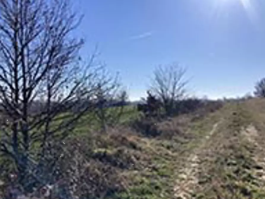 Immagine 1 di Terreno agricolo in vendita  in località Rivarone a Rivarone