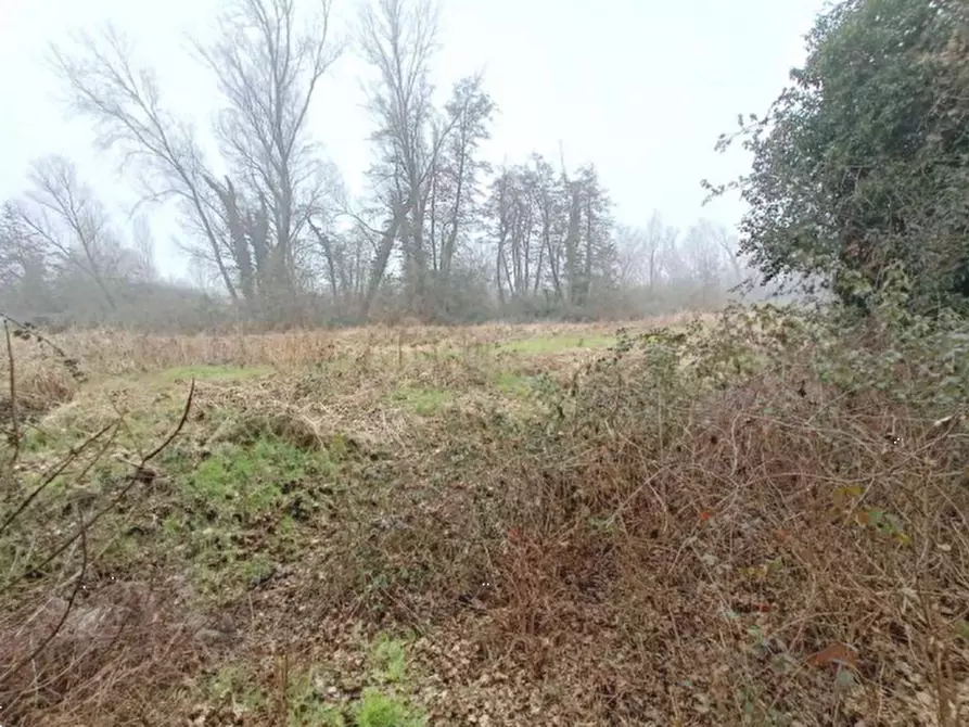 Immagine 1 di Terreno agricolo in vendita  in Via Mons. L. Tognana a Quinto Di Treviso