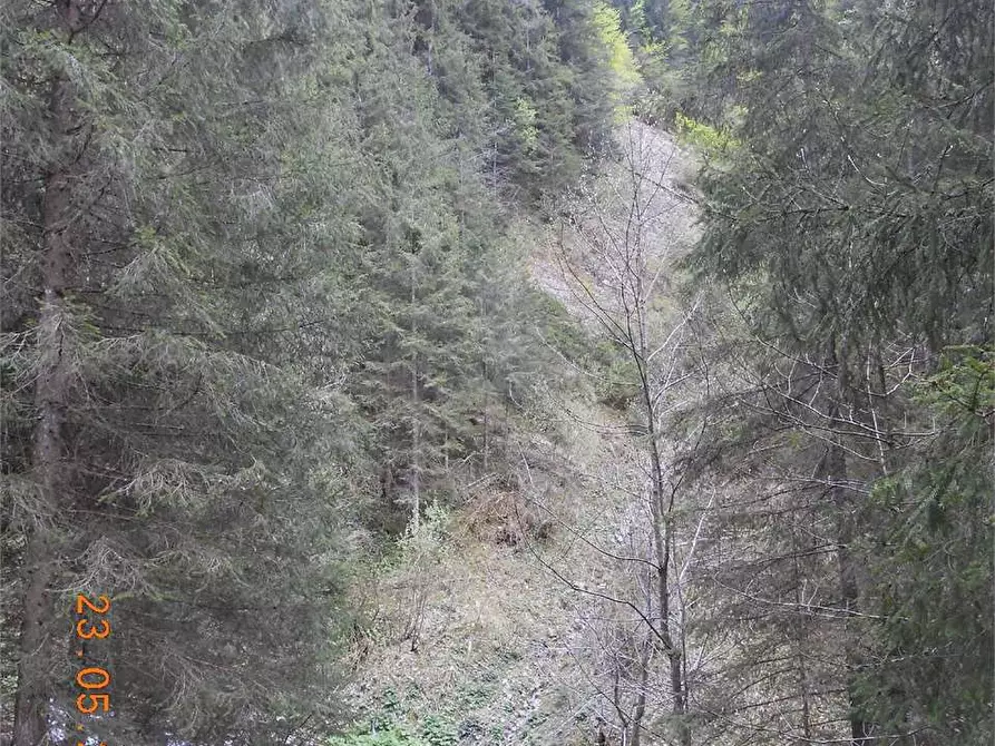 Immagine 1 di Terreno agricolo in vendita  in Localita' Fondi a Schilpario