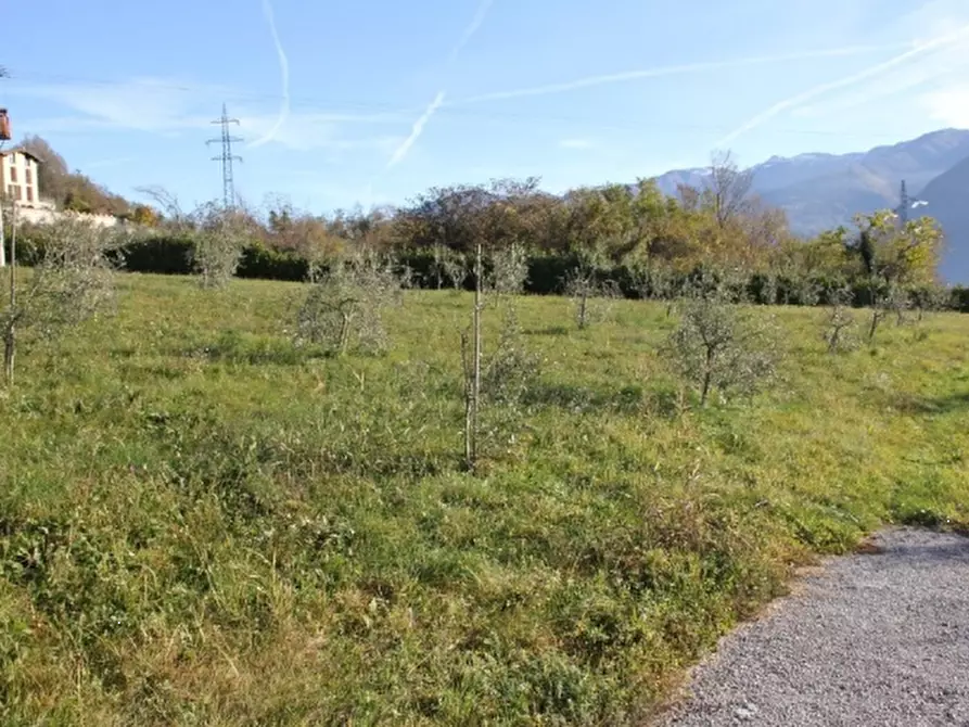 Immagine 1 di Terreno agricolo in vendita  in via Davine a Lovere