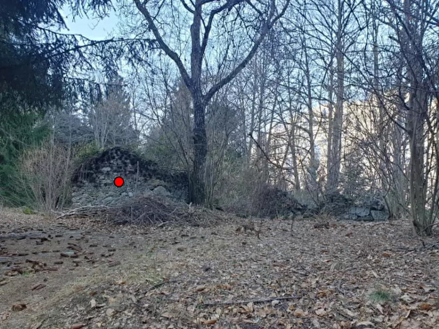 Immagine 1 di Terreno agricolo in vendita  in Località Ceto a Ceto