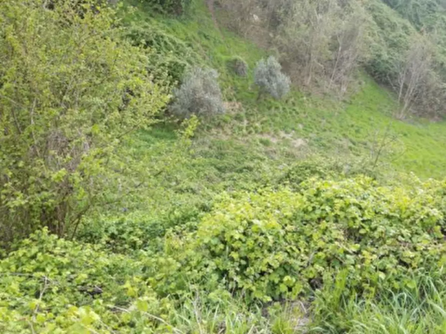 Immagine 1 di Terreno agricolo in vendita  in Via Forcella a Sarnico