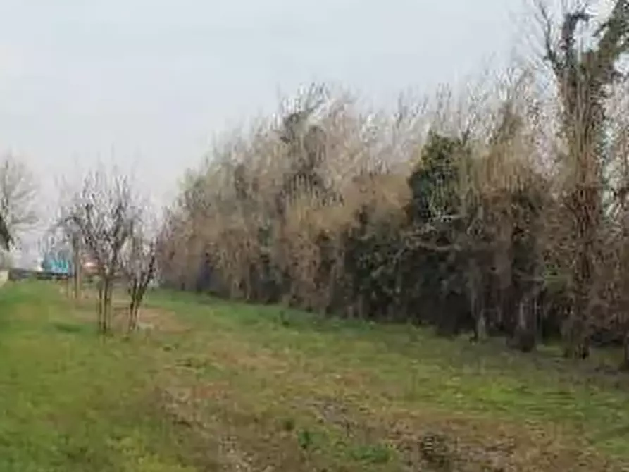 Immagine 1 di Terreno agricolo in vendita  in via Capitello  a Veggiano