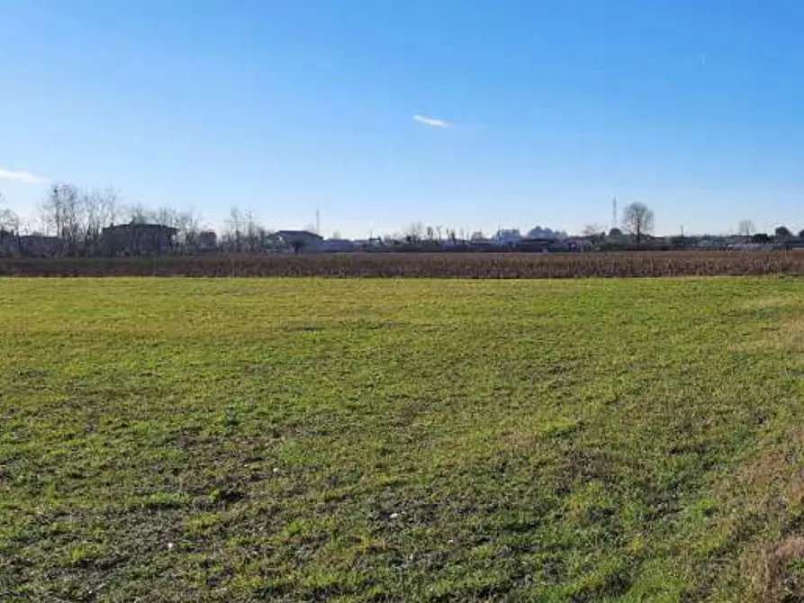 Immagine 1 di Terreno agricolo in vendita  in Strada del Confine a Tezze Sul Brenta