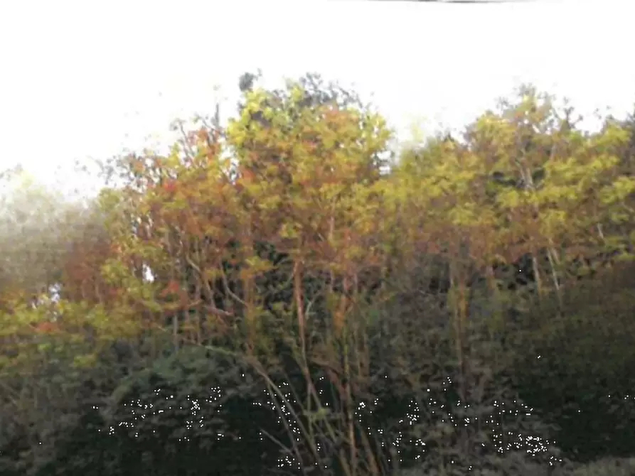 Immagine 1 di Terreno agricolo in vendita  in Frazione di Serniana a Provaglio D'iseo