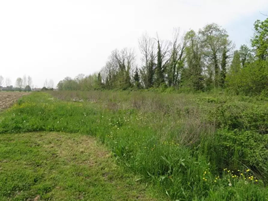 Immagine 1 di Terreno agricolo in vendita  in via Cavin Caselle a Santa Maria Di Sala