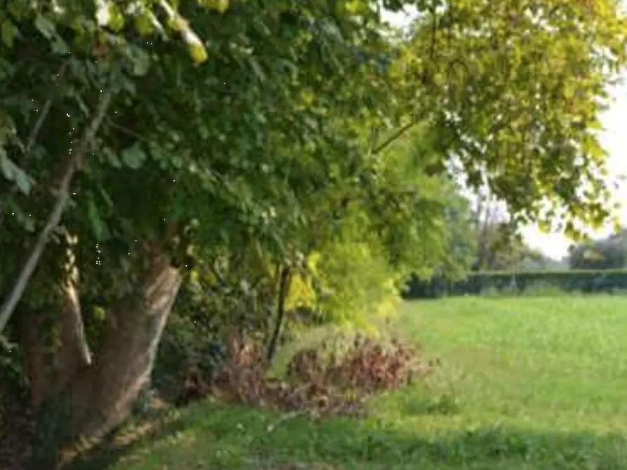 Immagine 1 di Terreno agricolo in vendita  in Via Calcara a Sarcedo