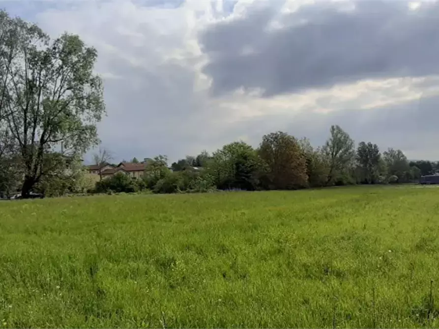 Immagine 1 di Terreno agricolo in vendita  in Via Campi  a Monguzzo