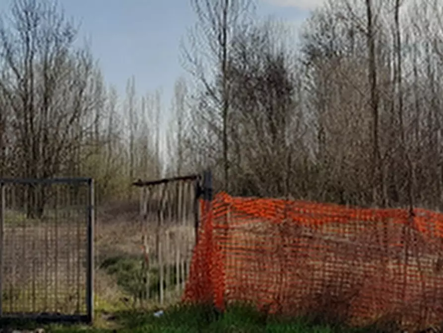 Immagine 1 di Terreno agricolo in vendita  in Via Alta a Marcon