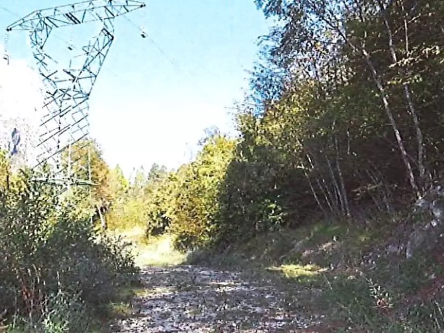 Immagine 1 di Terreno agricolo in vendita  in Località Ronchi di Buos a Taibon Agordino