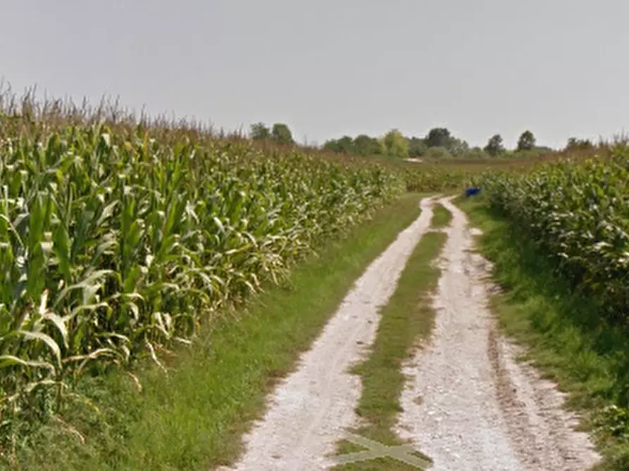 Immagine 1 di Terreno agricolo in vendita  in Via Rosa a Gorgo Al Monticano