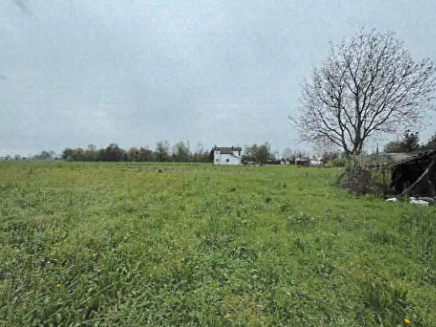 Immagine 1 di Terreno agricolo in vendita  in Via S. Valentino a Pozzoleone