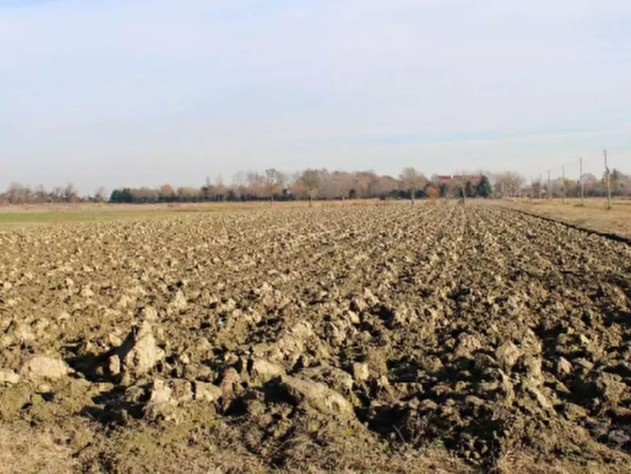 Immagine 1 di Terreno agricolo in vendita  in via Altinate a Venezia