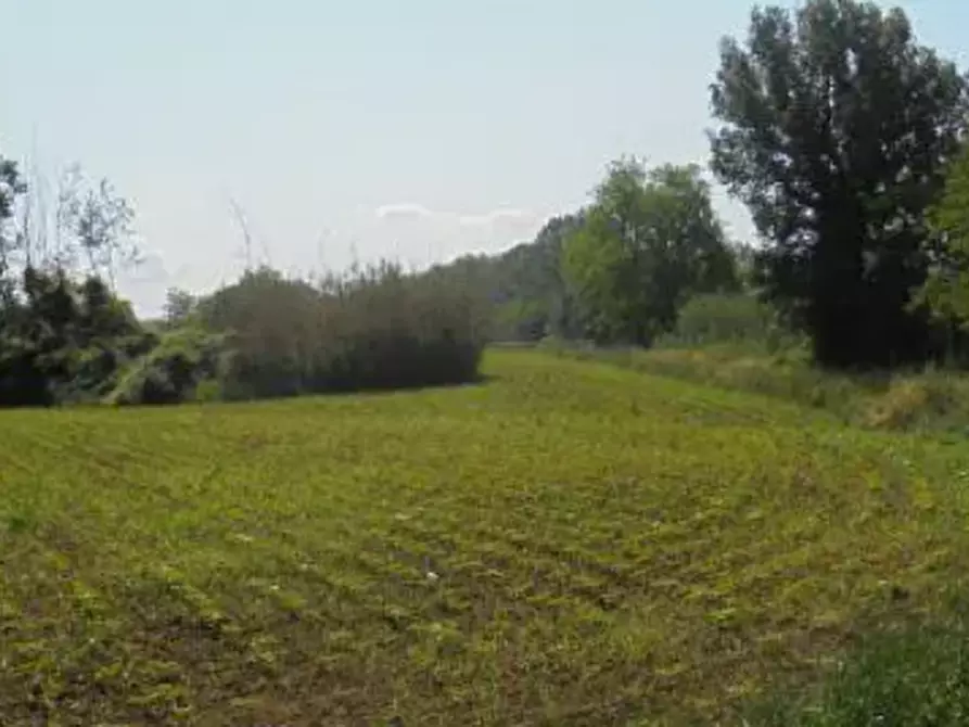 Immagine 1 di Terreno agricolo in vendita  in Località Ginestra a Lastra A Signa