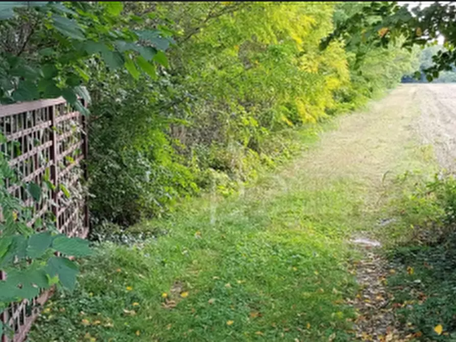 Immagine 1 di Terreno agricolo in vendita  in via Caprera a Castello Di Godego