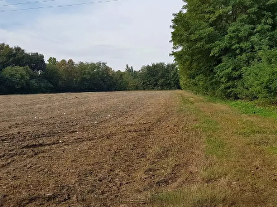 Immagine 1 di Terreno agricolo in vendita  in Via Caprera a Castello Di Godego