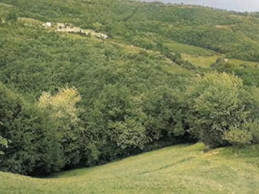 Immagine 1 di Terreno agricolo in vendita  in Via Verdella a Tregnago