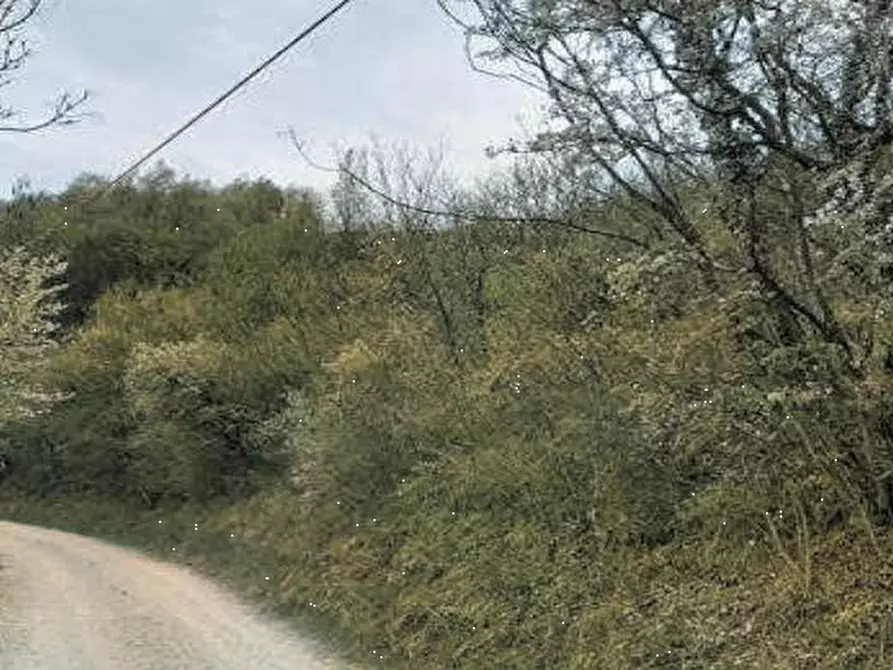 Immagine 1 di Terreno agricolo in vendita  in Via Verdella a Tregnago