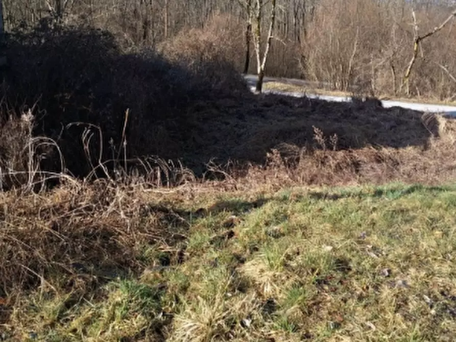 Immagine 1 di Terreno agricolo in vendita  in Sommacosta a Alpago