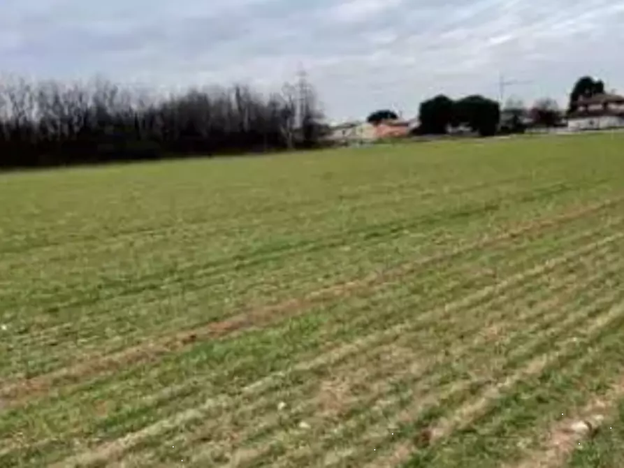 Immagine 1 di Terreno agricolo in vendita  in Via Verghera a Gallarate