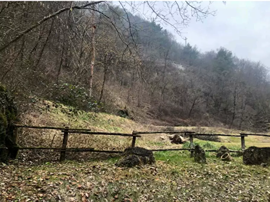 Immagine 1 di Terreno agricolo in vendita  in Località Nevras Degagna a Vobarno