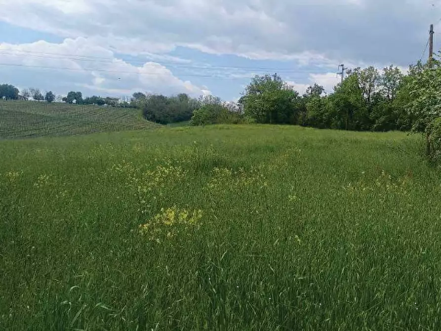 Immagine 1 di Terreno agricolo in vendita  in via Garibaldi a Castelvetro Di Modena