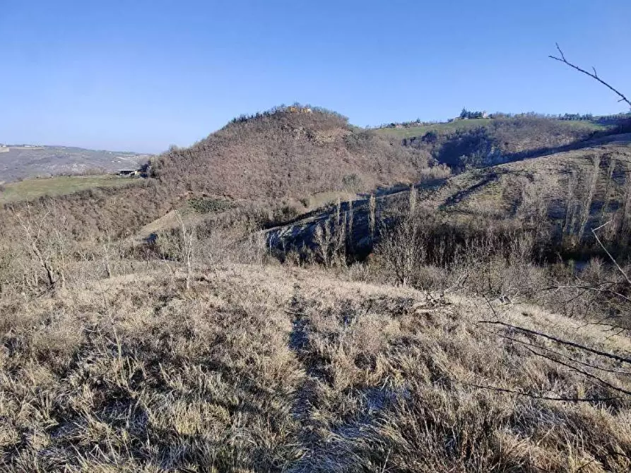 Immagine 1 di Terreno agricolo in vendita  in Via Monzone  a Guiglia