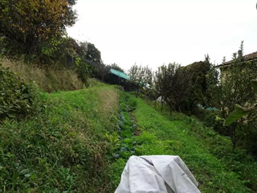 Immagine 1 di Terreno agricolo in vendita  in Via Antonio Locatelli a Bagnatica