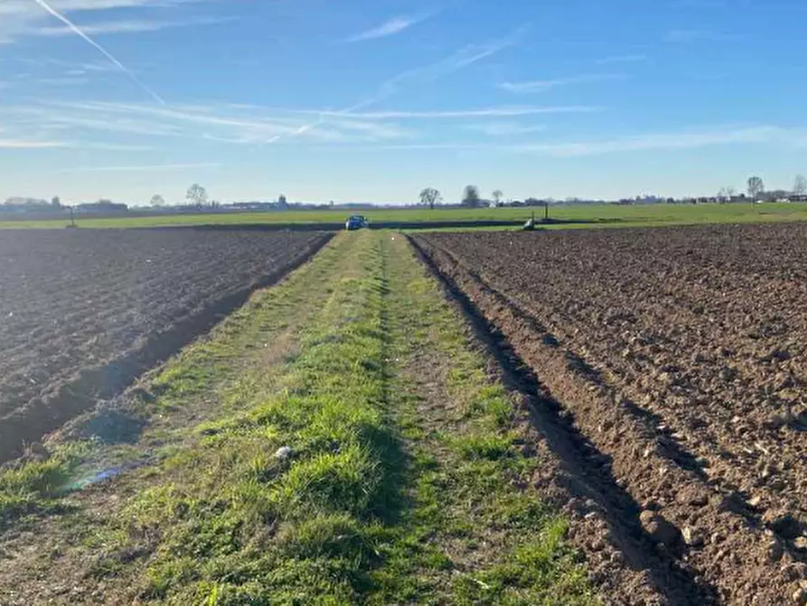 Immagine 1 di Terreno agricolo in vendita  in Via Ormeolo a Roverchiara